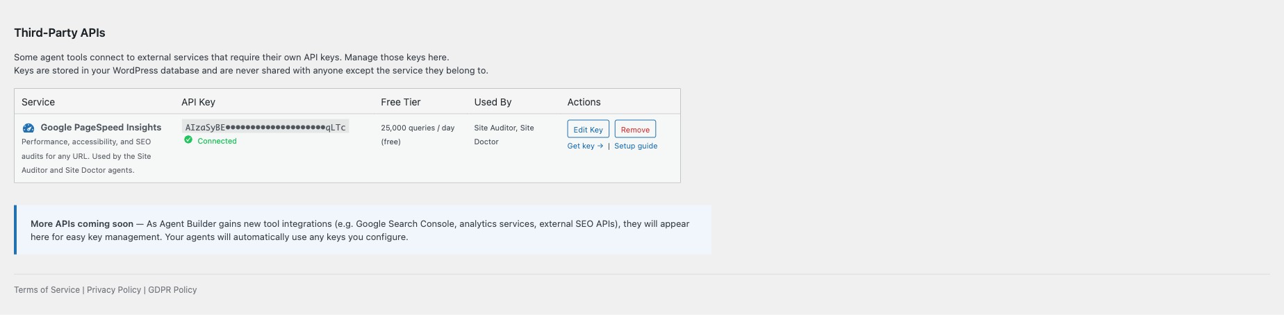 Third-Party APIs section showing Google PageSpeed Insights API key configuration