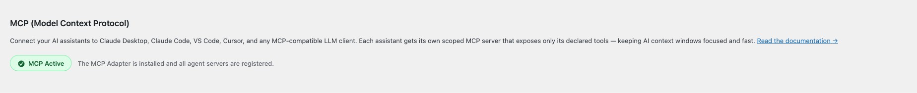 MCP Model Context Protocol setup section with install button and connection instructions
